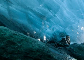 Rolex and exploration | Perpetual Planet | Newsroom