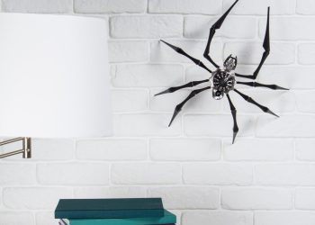 ‘Arachnophobia’ Telling the time with two hands and eight legs